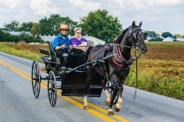 Amish natural remedies and health