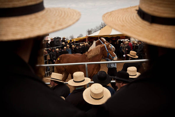 Amish social activities