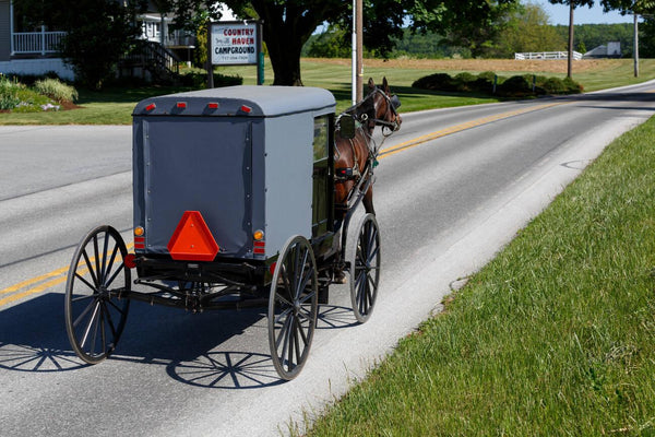 Amish vs Mennonite beliefs