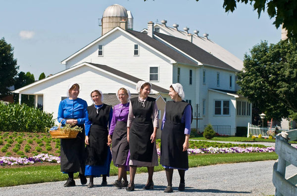 amish and banks