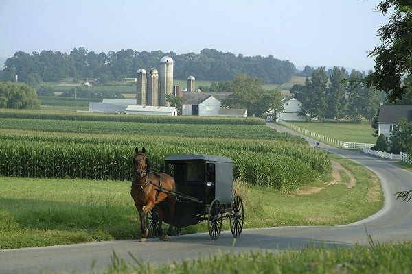 amish and brethren