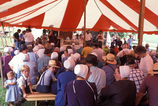 amish and mennonite differences