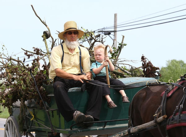 amish beard with mustache