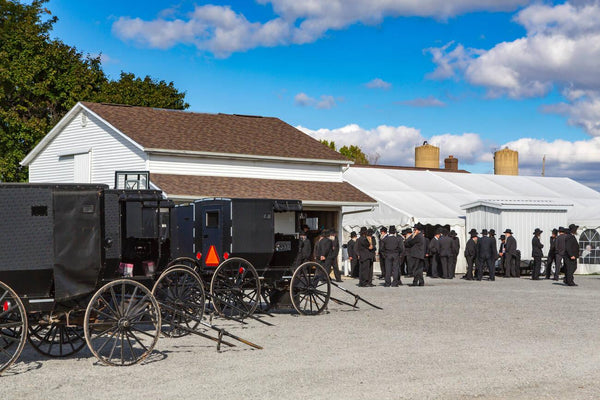 amish bedroom laws