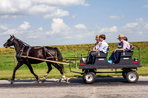 amish beliefs in healthcare