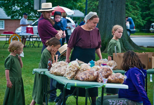 amish bible verses