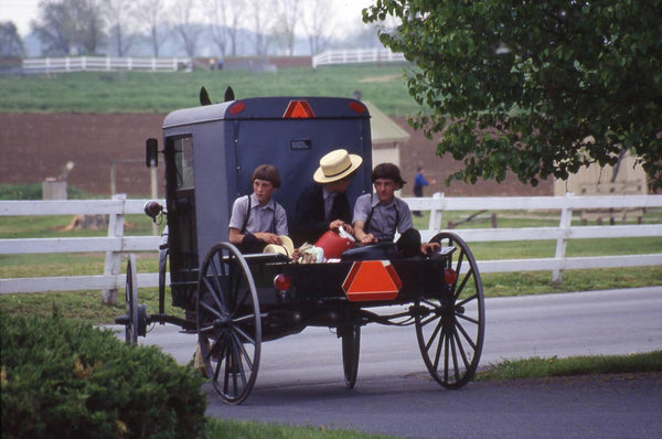 amish boy's hair