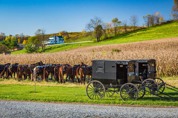 amish dating practices