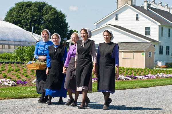 amish dating practices and rules