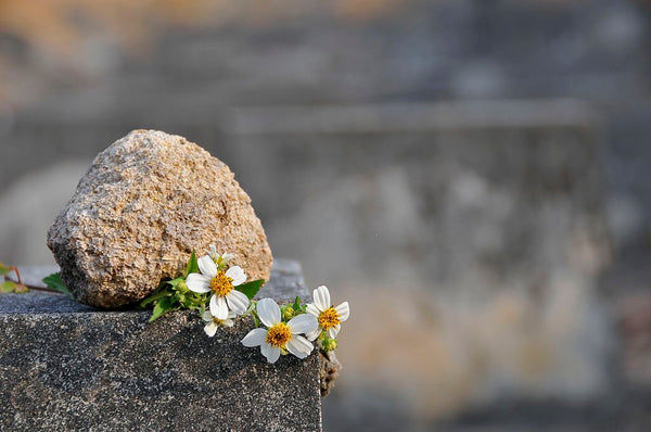 amish death rituals