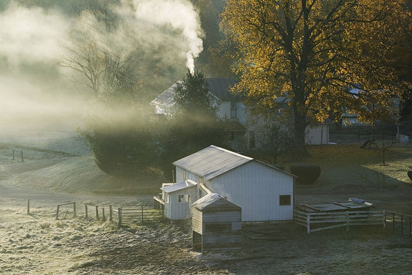 amish don't stand for anthem