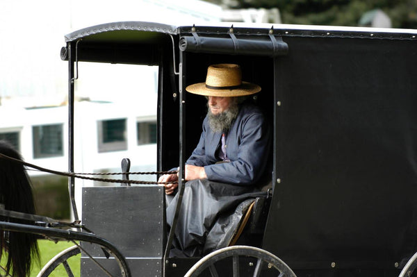 amish facial hair