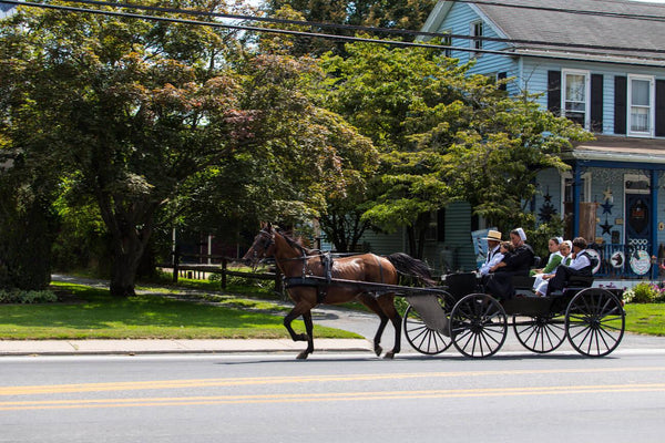 amish family norms