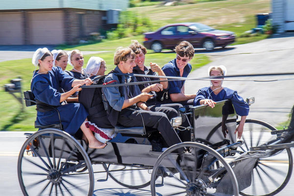 amish family norms and values