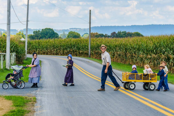 amish family values