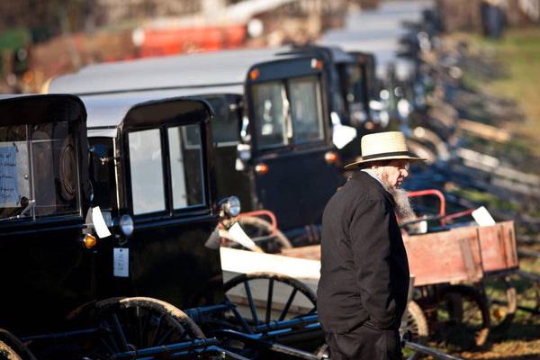 amish folks