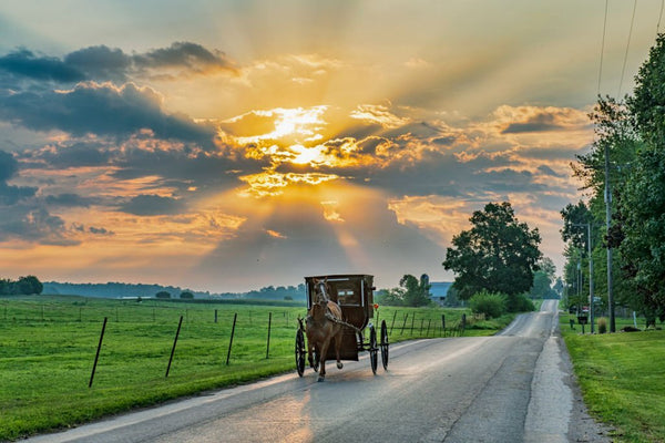 amish get stimulus