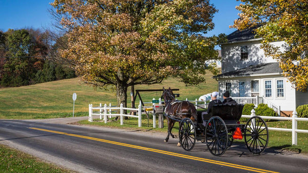 amish go to church