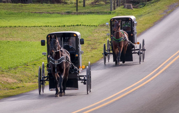 amish heater