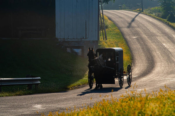 amish leaving home