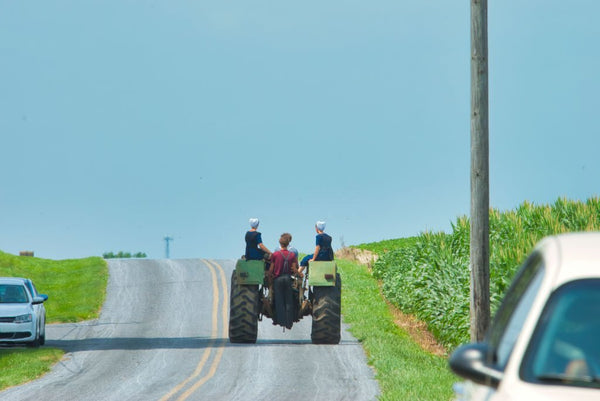 amish lifestyle rules