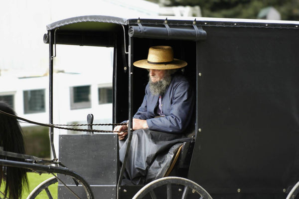 amish man short beard