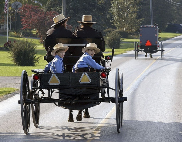 amish mennonite hutterite