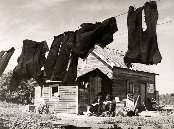 amish mennonites and hutterites