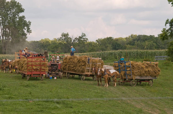 amish money system