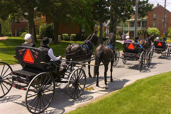  amish ordnung rulebook