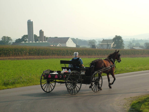 amish outside of america