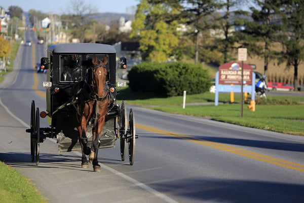 amish people and mennonite buggy