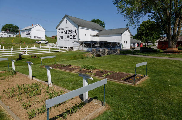 amish people farm