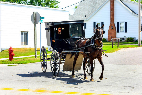 amish people folk culture