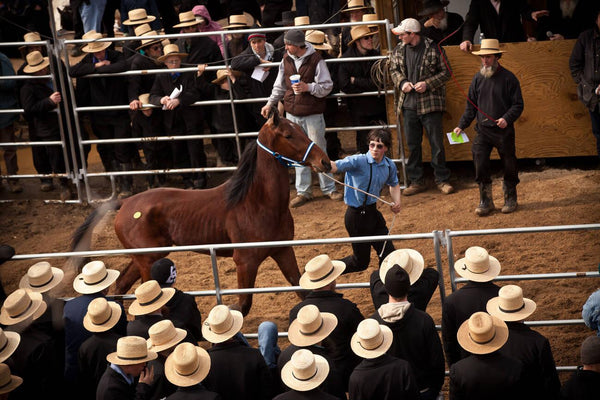 amish people norms and values