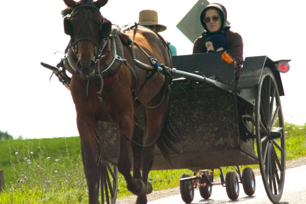 amish people shunning tradition