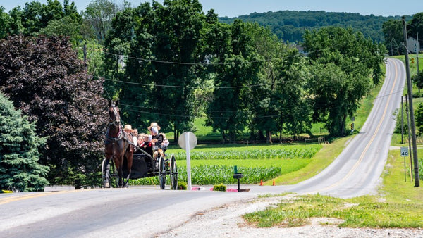 amish people traditions