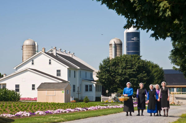 amish people working