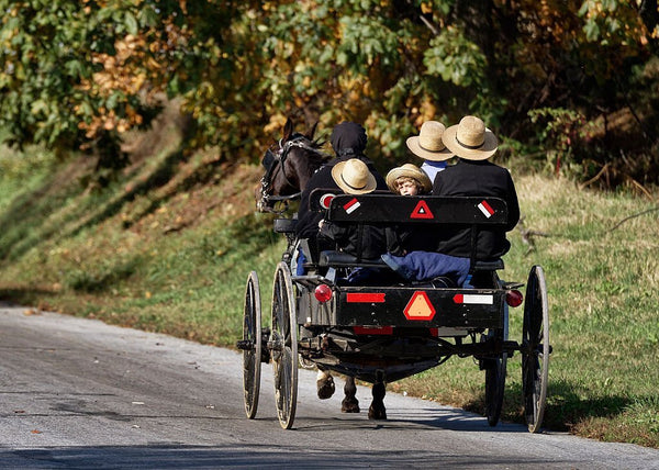 amish punishments and law