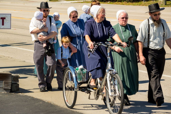 amish rules and the law 