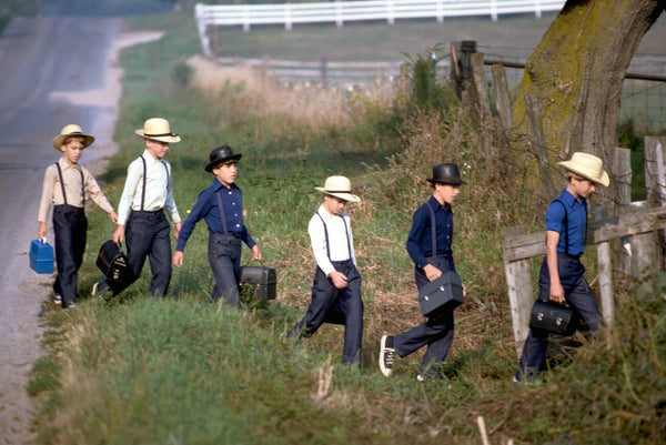 amish schools