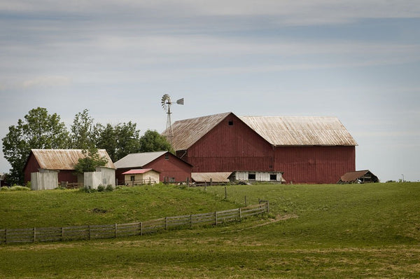 amish stand for national anthem