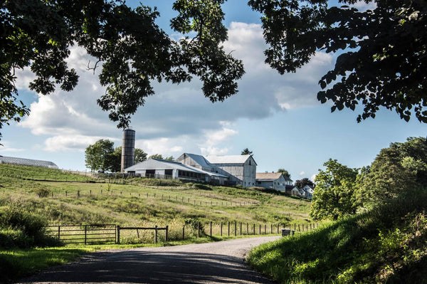 amish traditional economy