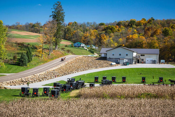 amish traditions and rituals