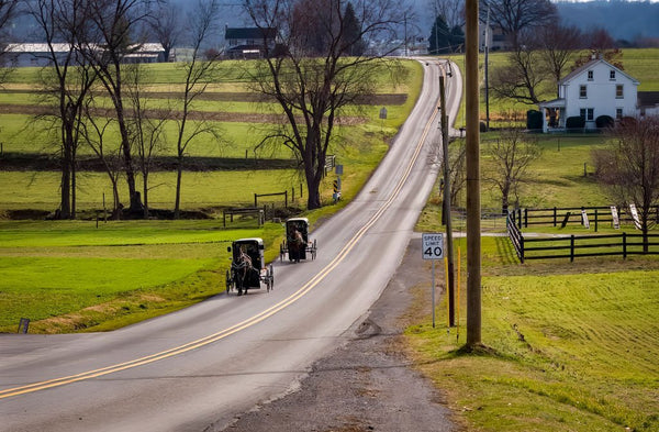 amish voter turnout