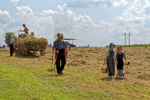 amish vs anabaptist