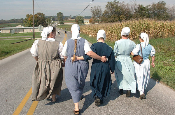 amish vs hutterite