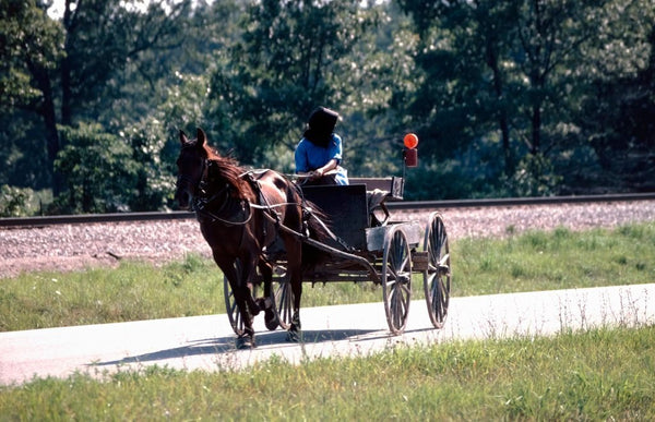 amish vs mennonite rules