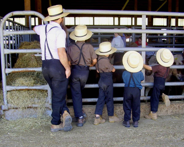 amish wedding rings