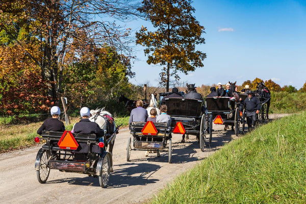 amish wedding season